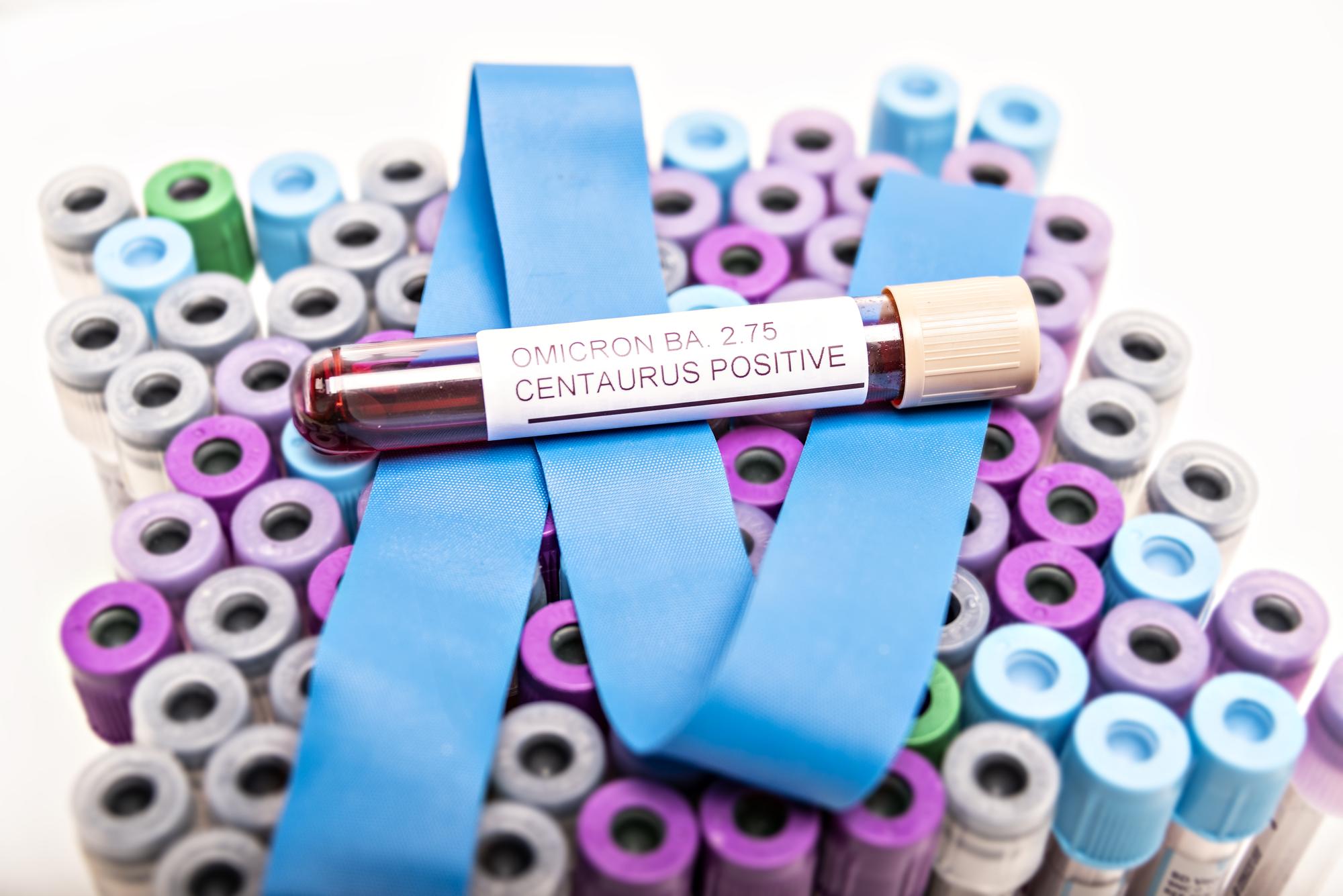 small batch embroidered labels on cotton